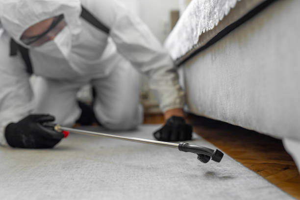 Professional Cockroach Control technician working in Lake Pocotopaug, CT